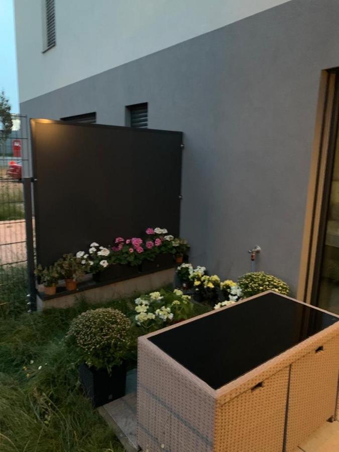 Apartment Dagmar Buresove プラハ エクステリア 写真